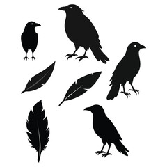 Obraz premium This vector set features elegant silhouettes of crows, ravens, birds, and feathers. Perfect for nature, wildlife, and gothic-themed designs, with minimalist and mysterious charm.