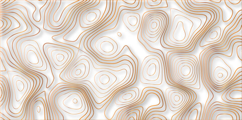 Topographic canyon geometric map relief texture with curved layers and shadow. abstract White background with a beautiful pattern, Topographic contour lines vector map seamless pattern vector.	
