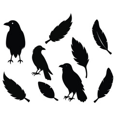 This vector set features elegant silhouettes of crows, ravens, birds, and feathers. Perfect for nature, wildlife, and gothic-themed designs, with minimalist and mysterious charm.