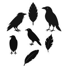 This vector set features elegant silhouettes of crows, ravens, birds, and feathers. Perfect for nature, wildlife, and gothic-themed designs, with minimalist and mysterious charm.