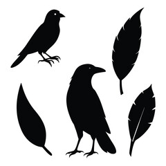 This vector set features elegant silhouettes of crows, ravens, birds, and feathers. Perfect for nature, wildlife, and gothic-themed designs, with minimalist and mysterious charm.
