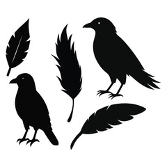 This vector set features elegant silhouettes of crows, ravens, birds, and feathers. Perfect for nature, wildlife, and gothic-themed designs, with minimalist and mysterious charm.