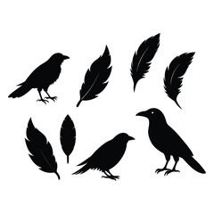 This vector set features elegant silhouettes of crows, ravens, birds, and feathers. Perfect for nature, wildlife, and gothic-themed designs, with minimalist and mysterious charm.