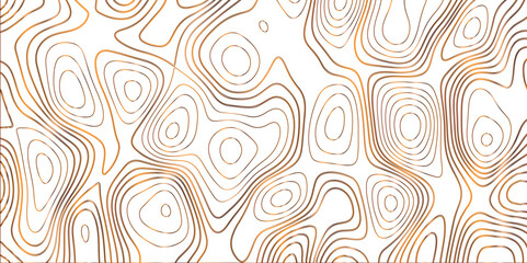 Topographic canyon geometric map relief texture with curved layers and shadow. abstract White background with a beautiful pattern, Topographic contour lines vector map seamless pattern vector.	

