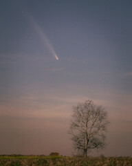 Comet C/2023 A3 (Tsuchinshan-ATLAS)
