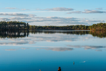 Fototapeta premium A calm lake reflects a clear blue sky, scattered clouds and a horizon of trees in this peaceful landscape. The calm surface of the water creates a mirror-like effect. Wide copy space in sky and water.