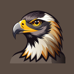 Fototapeta premium american bald eagle