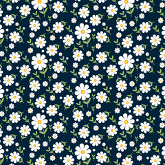 Seamless pattern with daisy flowers on black background, Hand-drawn botanical daisy floral pattern.botany elements, Ink drawings of flowers.eps 10.