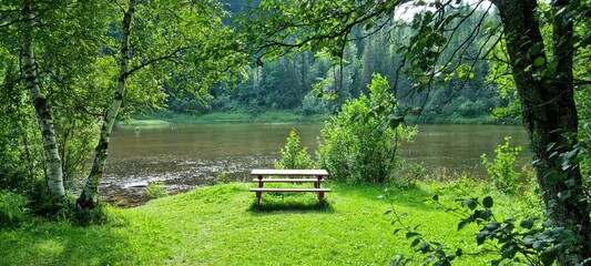 Obraz premium Bench on green grass with lush trees and river flow silent in background