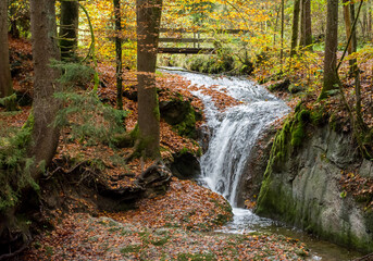 waterfall in autumn forest