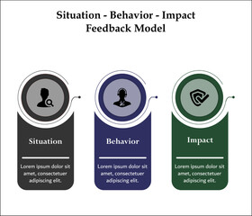 Situation - Behavior - Impact Feedback Model. Infographic template with icons and description placeholder