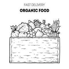 Hand drawn set of pizza. Italian pizza sketch collection. Design elements. Vector illustration. Italian food. Menu, package design