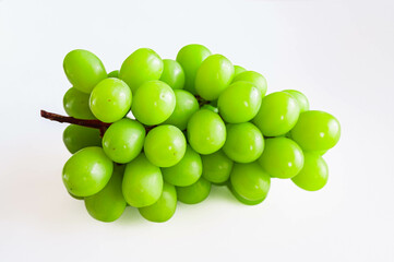 長野県産　シャインマスカット