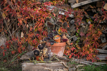 Herbstdekoration selber machen, getrocknete Sonnenblumen dekorieren, Landhaus, Gartendekoration,...