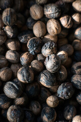Fresh walnuts collected in the garden.
