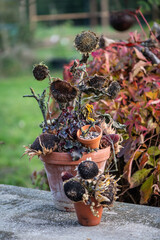 Herbstdekoration selber machen, getrocknete Sonnenblumen dekorieren, Landhaus, Gartendekoration, Vogelfutter