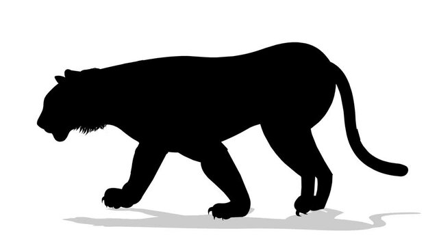 Tiger walking animation silhouette