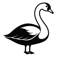 Standing Swan Bird Silhouette Vector.