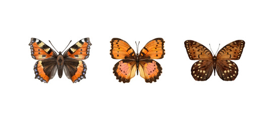 Watercolor colorful butterflies, isolated on white background. brown, yellow and red butterfly spring