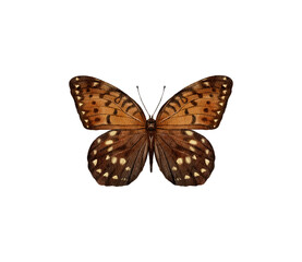 Watercolor colorful butterflies, isolated on white background. brown, yellow and red butterfly spring