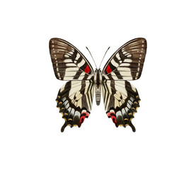 Watercolor colorful butterflies, isolated on white background. brown, yellow and red butterfly spring