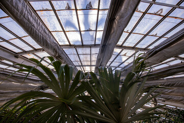 Copenhagen Botanical Garden In Denmark