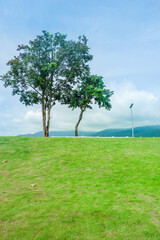 White fence with green grass hill and mountain,blue sky,Lush green golf Course,rest and relax in park near city,big tree in garden,Green grass field,Nature landscape,space for text.