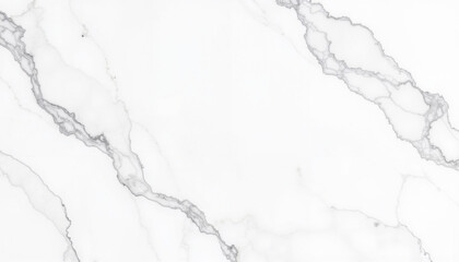 Elegant white marble with gray veins texture with copy space