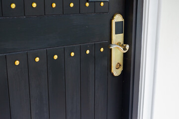 Close-up of wooden door with classic golden handles and ornaments,gold door handle and lock,Beautiful entrance to an expensive home or Luxury hotel,Copy space.
