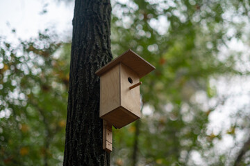 birdhouse attached to a tree in the garden