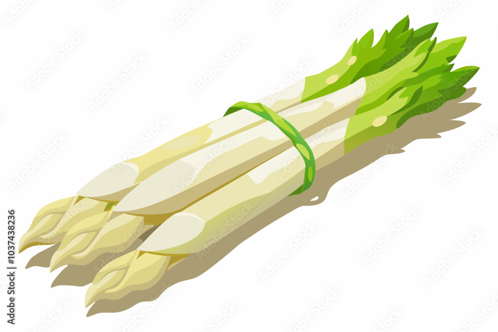 Sticker Green asparagus spears and stalks vegetable vector set