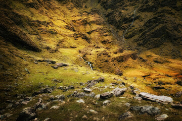 A stunning autumn scene unfolds in a mountainous area, showcasing vibrant golden grass and rocky surfaces, with a gentle stream winding through the landscape under soft afternoon light.