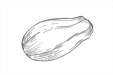 Whole unpeeled papaya fruit line art black ink sketch in realistic style. Tropical pawpaw plant vector isolated illustration. Floral exotic element for package design, cooking recipes, label