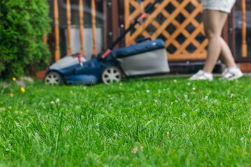 This image captures someone mowing their lawn with a push lawn mower. The person is holding onto the handle, guiding the mower over a well-maintained grassy area.