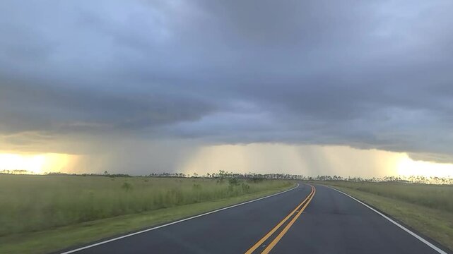 Driving Toward a Heavy Storm in the Florida Everglades