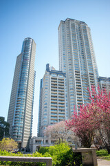 Fototapeta premium Giant modern office buildings taken on a summer day, seen from a park. Skyscrapers accompanied with pink flowers. 