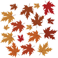 Autumn Leaf Print - Cozy Fall Patterns, Nature Motifs, Autumn Aesthetic