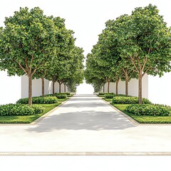 Obraz premium Pathway lined with lush green trees.
