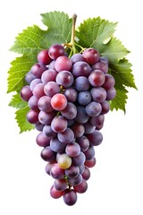 Fototapeta premium bunch of grapes isolated on white