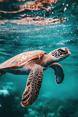 Fototapeta premium Breathtaking Underwater Scene with Sea Turtle