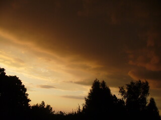 Dark brown and beige stormy sky with rainy threatening clouds over black horizon with trees - natural weather composition. Topics: storm, meteorology, atmosphere, air space, season, summer