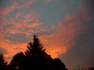 Colorful sky and clouds lit in red and pink during sunset over dark trees - natural composition. Topics: beauty of nature, evening, dusk, weather, meteorology, atmosphere, air space, season, sunlight