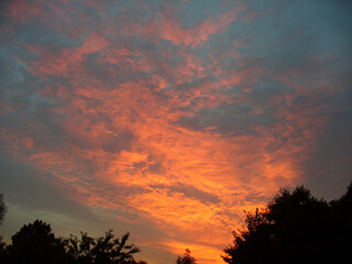 Fototapeta premium Colorful sky and clouds lit in red and pink during sunset over dark trees - natural composition. Topics: beauty of nature, evening, dusk, weather, meteorology, atmosphere, air space, season, sunlight