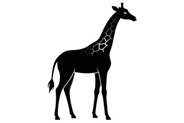 Giraffe silhouette vector illustration on white background