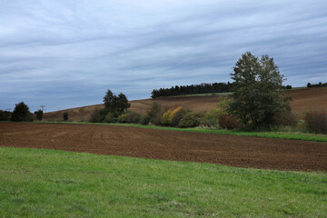 Obraz premium Autumn landscape with plowed field and blue sky, Czech Republic