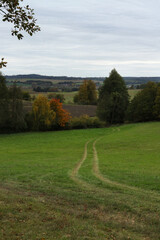 autumn landscape with a Path in the meadow with trees 
