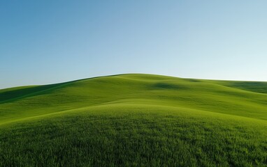Fototapeta premium Vibrant green rolling hills with a lush wheat field in the foreground, showcasing the beauty of agricultural landscapes under a clear blue sky
