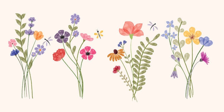 Minimalist Wildflower Illustration - Seamless Watercolor Floral Arrangements With Dragonflies