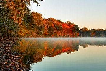 Beautiful New England Fall Foliage with reflections at sunrise, Boston Massachusetts.