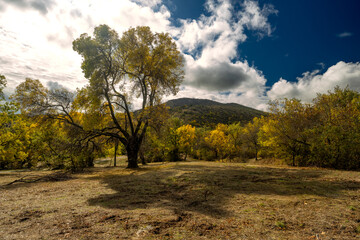bosque de la herreriana Escorial 
